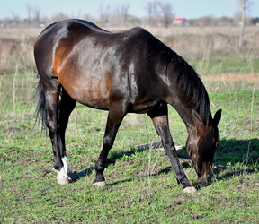 Similar image 21188378