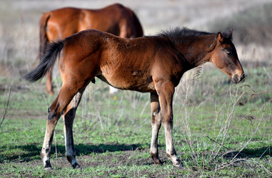 Similar image 21188379