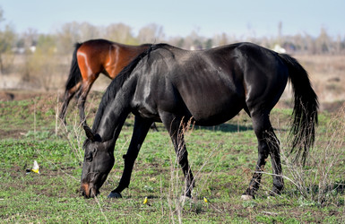 Similar image 21188380