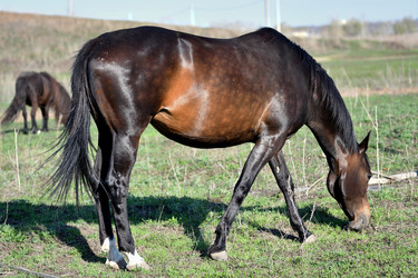 Similar image 21188381