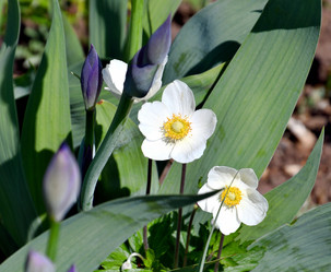 Similar image 21188382