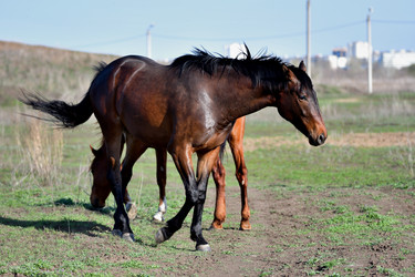 Similar image 21188383