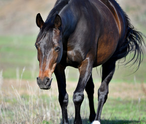 Similar image 21188384