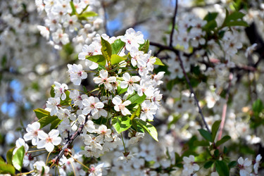 Similar image 21188387