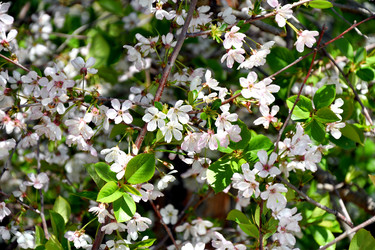 Similar image 21188389