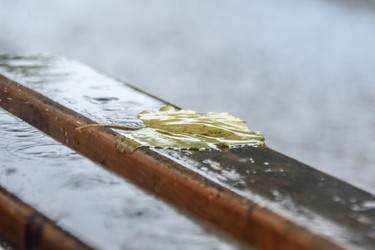 Similar image 21200161