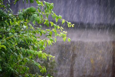 Similar image 21200172