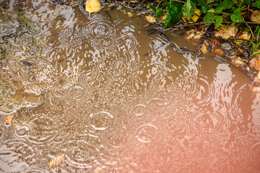 Similar image 21200175