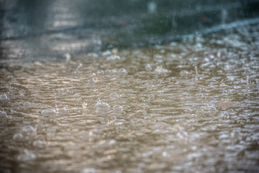 Similar image 21200182