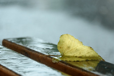 Similar image 21200186