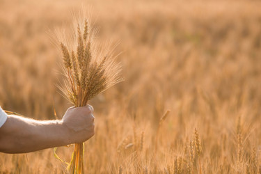 Similar image 21168345