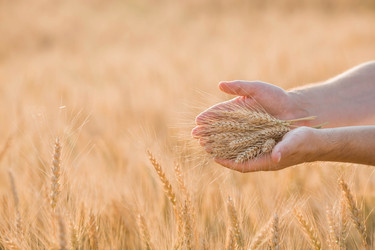 Similar image 21168347