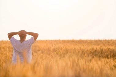 Similar image 21173474