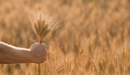 Similar image 21168349