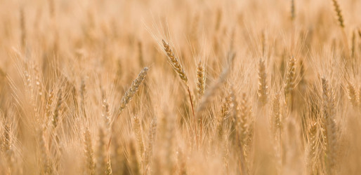 Similar image 21168351