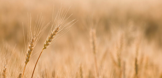 Similar image 21168353