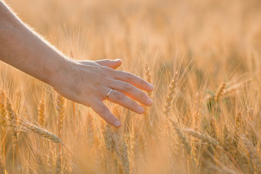 Similar image 21168364