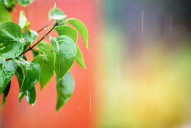 Similar image 21200082