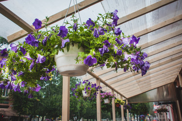 Similar image 21200087