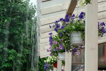 Similar image 21200088