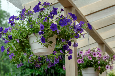 Similar image 21200089