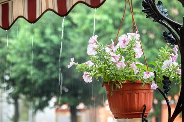 Similar image 21200090