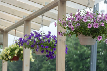 Similar image 21200095