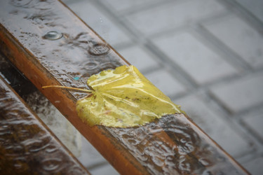 Similar image 21200098