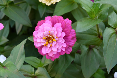 Similar image 21188391