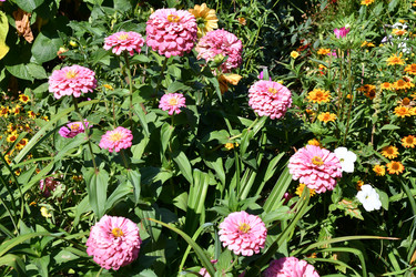 Similar image 21188393