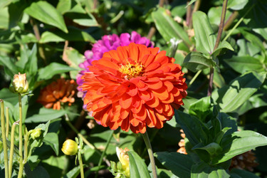 Similar image 21188394