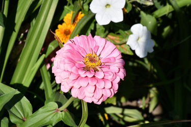 Similar image 21188395