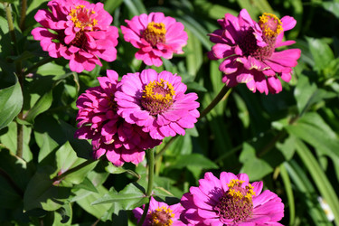 Similar image 21188396