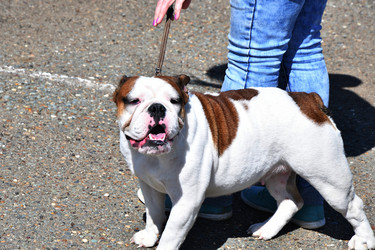 Similar image 21188398