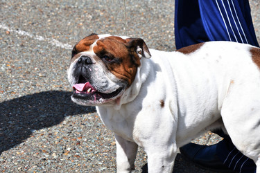 Similar image 21188399