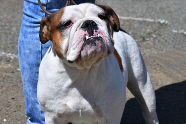 Similar image 21188401