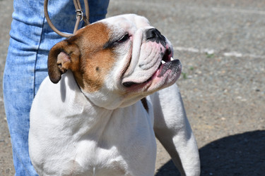 Similar image 21188402