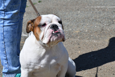 Similar image 21188403