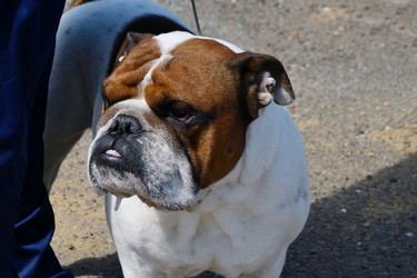 Similar image 21188404