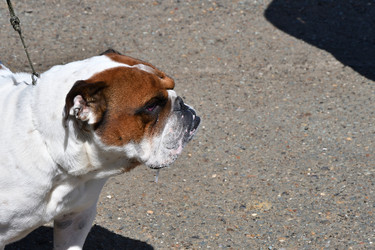 Similar image 21180504