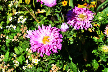 Similar image 21180507