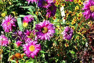 Similar image 21180508