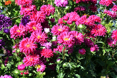 Similar image 21180509