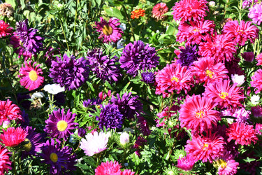 Similar image 21180510