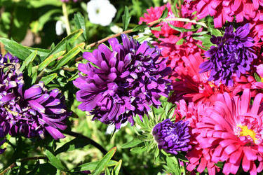 Similar image 21180511