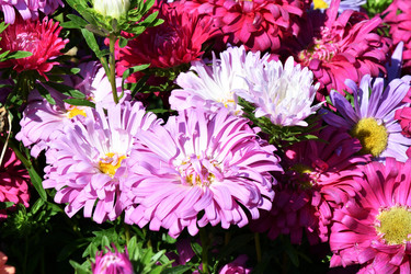 Similar image 21180512