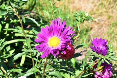 Similar image 21180513