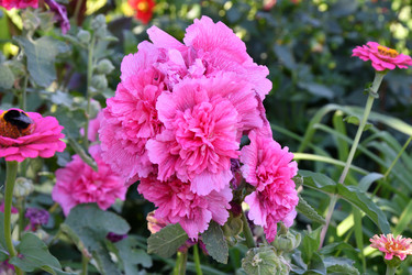 Similar image 21188408