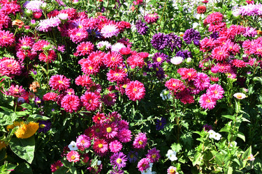 Similar image 21188410