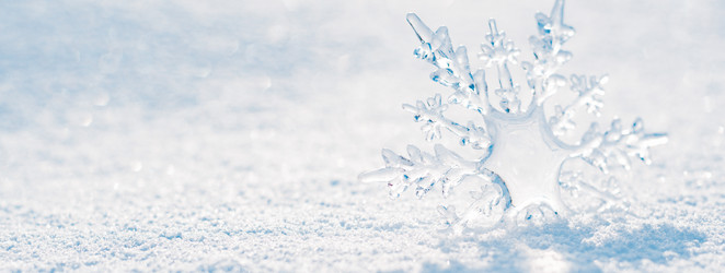 Similar image 21168877